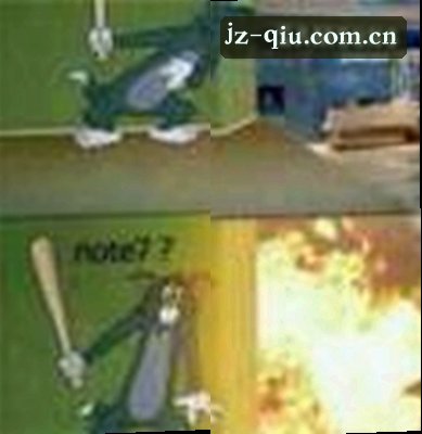 赵磊